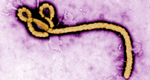 ebola-presentation